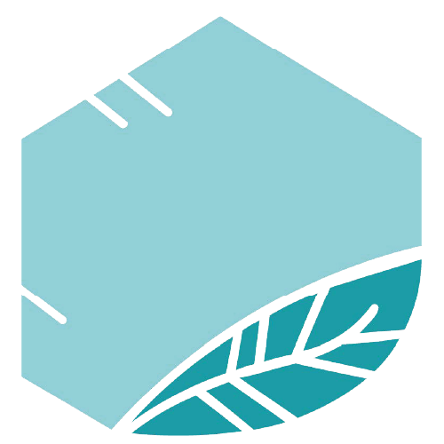 Logo T&ELS